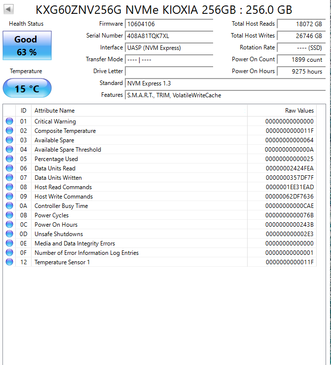 KIOXIA 256GB NVMe SSD (KXG60ZNV256G) Test Results In Images