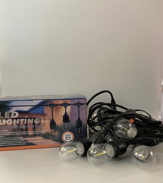 10 Bulb Festoon Lights