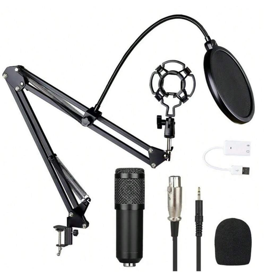 Broadcasting and Recording Microphone