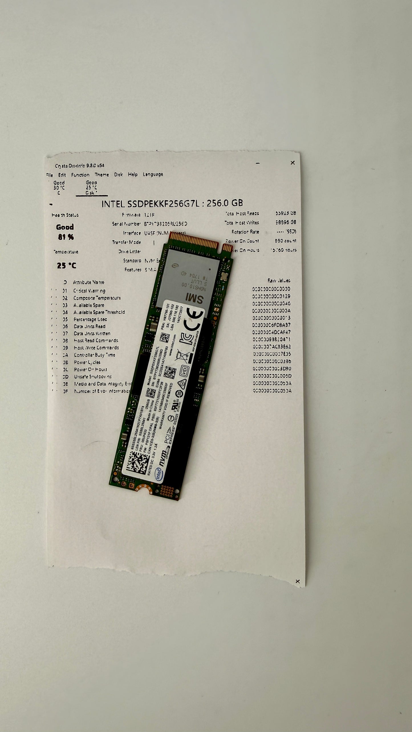 INTEL SSDPEKKF256G7L : 256.0 GB M.2 SSD 2280 (Test Results In Images)