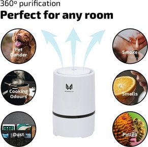 Maisonware Compact Ionizer Air Purifier