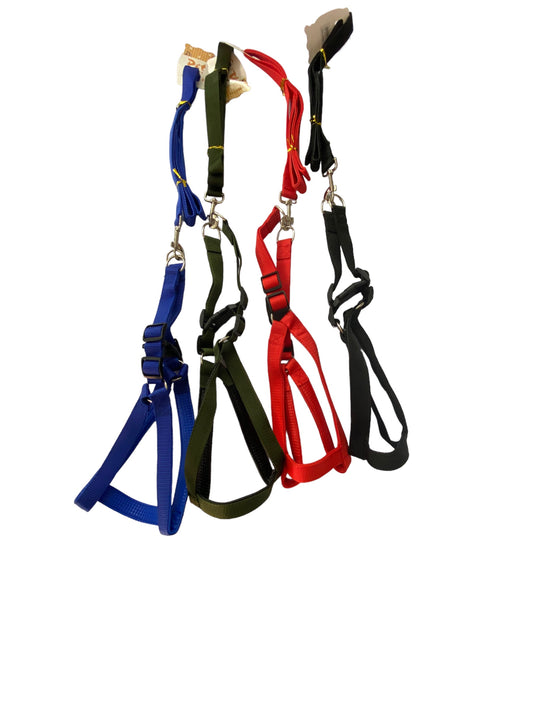 Medium Dog Leash and Harness