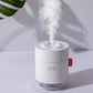Mini USB Powererd Cold Mist Humidifier