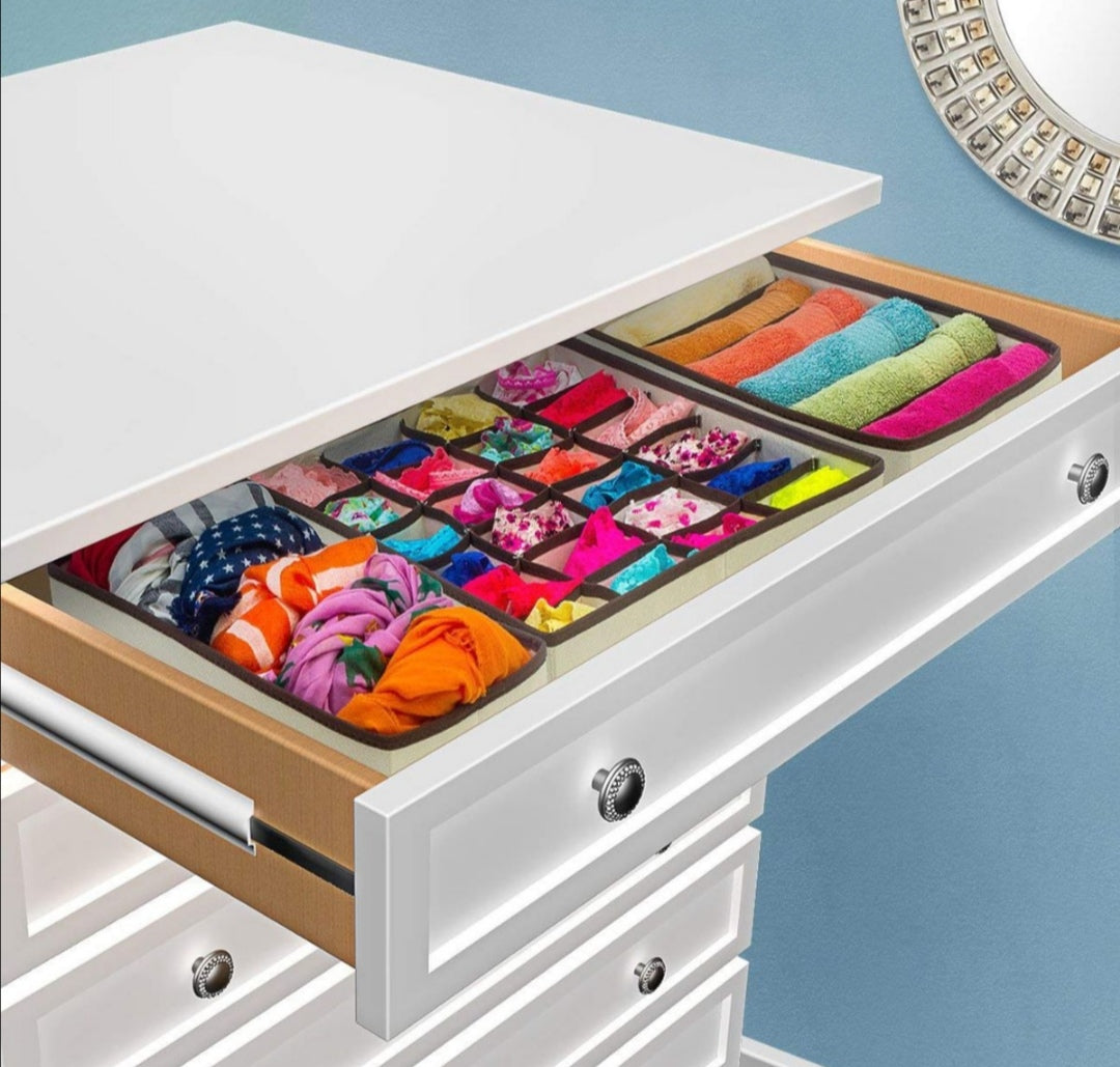 Underwear Drawer Organizer (Set of 4)