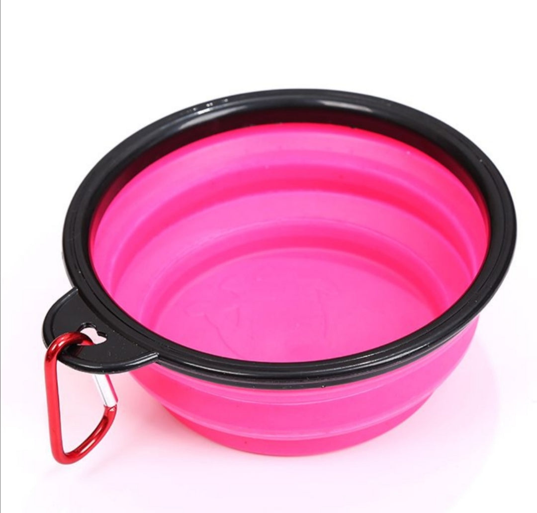 Collapsible Pet Bowl