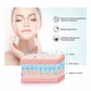 Styleberry Micro-Steam Ionic Facial Steamer