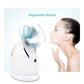Styleberry Micro-Steam Ionic Facial Steamer