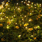 Set of 6 Lithium Battery Powered Fairy Lights