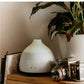 Maisonware Aromatherapy White Noise Bluetooth Oil Diffuser